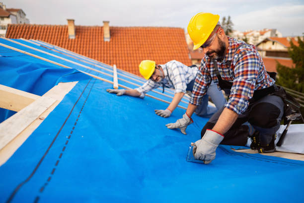 Best Flat Roof Repair Services  in Pine Hill, NJ